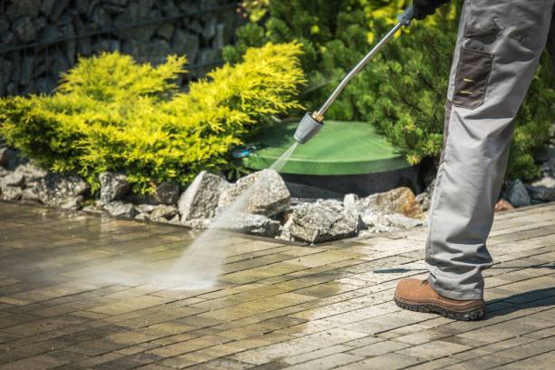 Best Animal Enclosure Cleaning  in Carter, TX